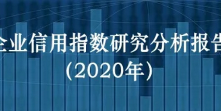 企業(yè)信用指數(shù)研究分析報告（2020年）