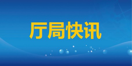 省發(fā)展改革委召開油氣長輸管道和電力設施保護治本攻堅三年行動推進會